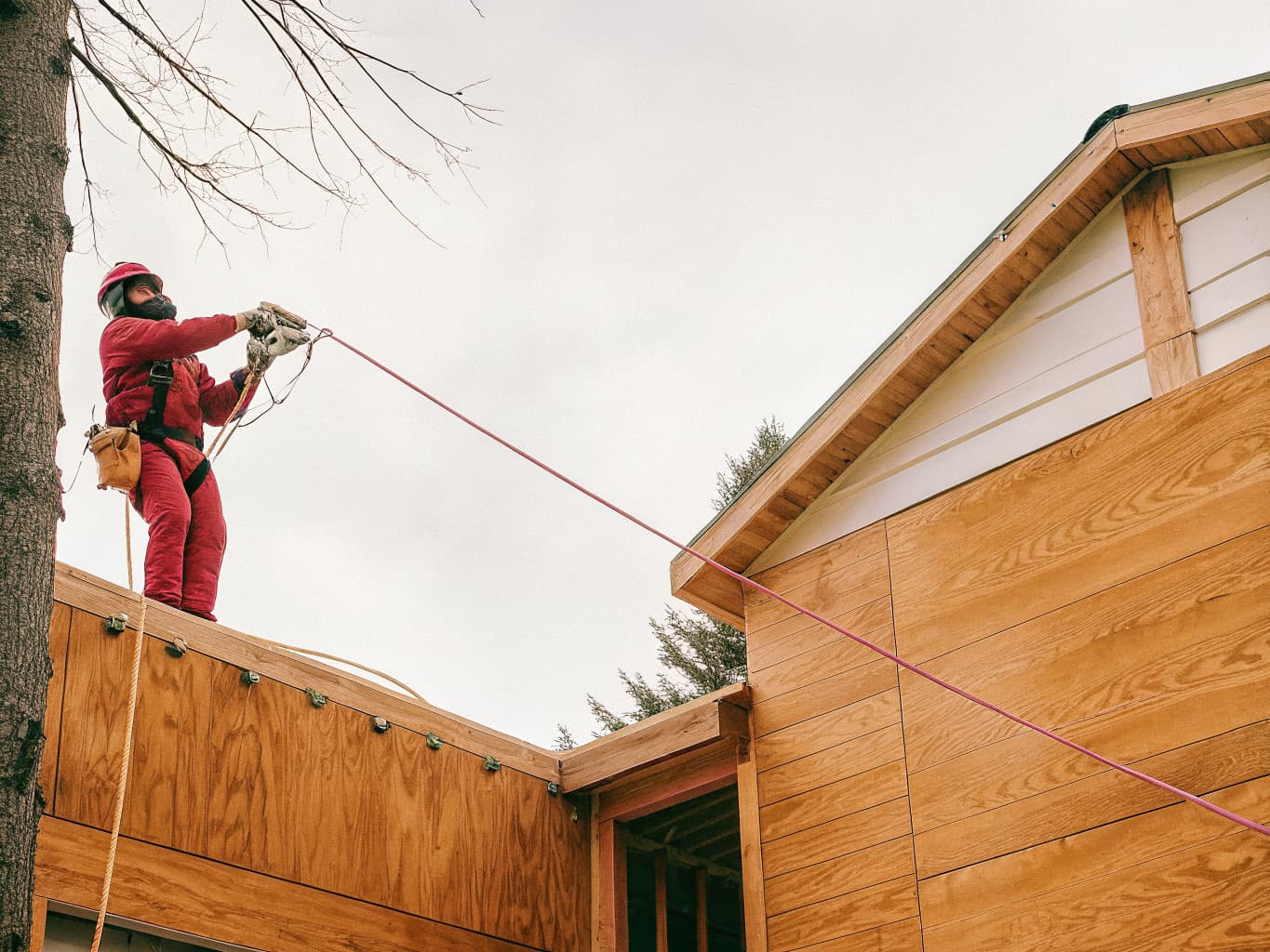 Tree Removal services in Michigan by L&L Services